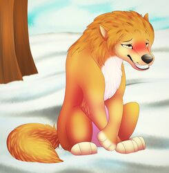  alpha_and_omega blush canid canine canis digital_media_(artwork) female feral fur kate_(alpha_and_omega) mammal orange_body orange_fur outside plant smile snow solo tree wolf xblueashesx 