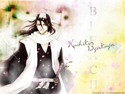  bleach kuchiki_byakuya tagme 