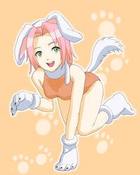 all_fours animal_humanoid bare_shoulders canid canid_humanoid canine canine_humanoid canis clothing dog_humanoid domestic_dog female gloves green_eyes hair handwear humanoid mammal mammal_humanoid naruto open_mouth paw_gloves pink_hair sakura_(disambiguation) sakura_haruno short_hair solo tail unknown_artist