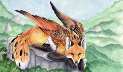 ambiguous_gender boulder canid canine detailed_background feathered_wings feathers feral forest fox fur looking_at_viewer lyanti mammal nature on_rock orange_body orange_fur outside painting_(artwork) plant rock sky solo tail traditional_media_(artwork) tree watercolor_(artwork) wings