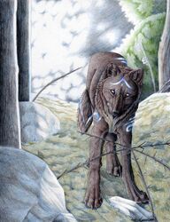 ambiguous_gender canid canine colored_pencil_(artwork) digitigrade feral looking_at_viewer lyanti mammal markings quadruped solo tail traditional_media_(artwork)