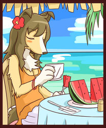 accessory anthro blush breasts canid canine canis chest_tuft domestic_dog female flower flower_in_hair food fruit fur hair hair_accessory mammal melon plant snakehunter solo tuft watermelon watermelon_slice