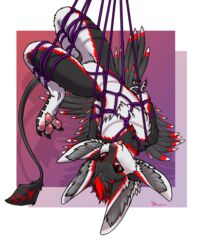  4_ears absurd_res alpha_channel anthro avali black_body bondage bondage bound digital_media_(artwork) fluffy fur hair hi_res looking_at_viewer male multi_ear paws restraints rinkamo rope rope_bondage rope_harness simple_background smile solo tail winged_arms wings 