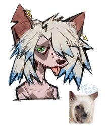  2023 ambiguous_gender anthro black_nose blep blue_hair bridge_piercing brown_spots bust_portrait canid canine canis chinese_crested_dog dated domestic_dog ear_piercing ear_ring facial_piercing famir_(artist) glistening glistening_eyes green_eyes hair hairless hairless_dog hi_res mammal multicolored_hair multiple_piercings narrowed_eyes nose_piercing piercing pink_body pink_tongue portrait red_inner_ear ring_piercing signature simple_background solo spots tongue tongue_out toy_dog two_tone_hair white_background white_hair 