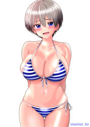  :d absurdres arms_behind_head artist_name bare_shoulders bikini blue_bikini blue_eyes blush breasts cleavage collarbone commentary cowboy_shot curvy female grey_hair groin hair_between_eyes highres large_breasts looking_at_viewer navel oerba_yun_fang open_mouth raised_eyebrows short_hair skin_fang smile solo stoneriver_ilst striped_bikini striped_clothes swimsuit thigh_gap two-tone_bikini uzaki-chan_wa_asobitai! uzaki_hana very_short_hair white_background white_bikini 