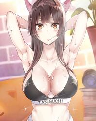  animal_ears bad_id bad_pixiv_id black_bra blush bra breasts brown_hair cat_ears citrus_(saburouta) cleavage female flying_sweatdrops gangshangguang_(smjy5842) highres indoors large_breasts long_hair looking_at_viewer navel solo sparkling_sweat sweat sweatdrop taniguchi_harumi underwear underwear_only underwear_writing very_sweaty 