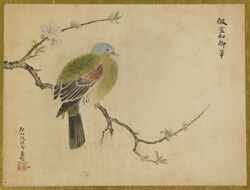  19th_century ambiguous_gender ancient_art avian beak bird black_body black_feathers blue_body blue_feathers branch brown_body brown_feathers columbid dove feathered_wings feathers feet feral flower green_body green_feathers hi_res isen&#039;in_hoin_eishin japanese_text multicolored_body multicolored_feathers not_furry on_branch painting_(artwork) peach_blossom plant prunus_(flower) signature simple_background solo tail tail_feathers talons tan_background text toes traditional_media_(artwork) white_body white_feathers wings 