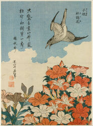  1828 19th_century ambiguous_gender ancient_art avian beak bird black_body black_eyes black_feathers cloud cuculiform feathered_wings feathers feral flower flying gradient_feathers grey_body grey_feathers japanese_text katsushika_hokusai open_mouth outside painting_(artwork) plant sky solo tail tail_feathers text traditional_media_(artwork) wings woodblock_print 