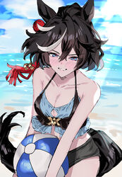  animal_ears bad_id bad_pixiv_id ball beach beachball black_hair blue_eyes blue_sky blush breasts cleavage cloud cloudy_sky commentary_request cowboy_shot ear_covers female grin hair_between_eyes hair_ornament highres holding holding_ball holding_beachball horse_ears horse_girl horse_tail katsuragi_ace_(umamusume) looking_at_viewer m75255831 medium_breasts multicolored_hair ocean outdoors sand sky smile solo streaked_hair swimsuit tail tassel tassel_hair_ornament umamusume water white_hair 