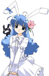  ahoge animal_ears blue_eyes blue_hair bow bunny_ears dress gothic_lolita lolita lolita_fashion magical_garden usagimimi 