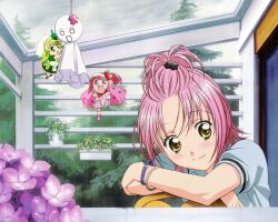  hinamori_amu ran shugo_chara suu tagme 