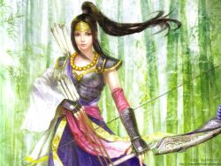  armor arrows bow ina ina_hime ponytail sengoku_musou weapon 