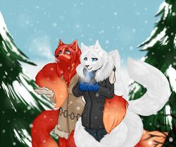 anthro blue_eyes canid canine digital-maesma dreamspinner duo female fox krinele_fullin mammal molly_fullin multi_tail outside plant snow tail tree