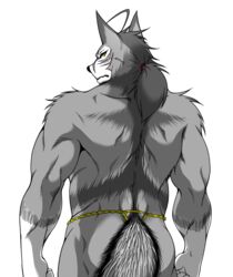 alpha_channel anthro asian_clothing ass biceps big_muscles biped black_nose canid canine canis clothing east_asian_clothing facial_markings frown fundoshi fur grey_body grey_fur hair head_markings japanese_clothing looking_at_viewer looking_back male mammal markings morenatsu muscular muscular_anthro muscular_male rear_view scar simple_background solo standing ten_kodori transparent_background underwear unknown_artist wolf yellow_eyes