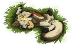 2012 alpha_channel ambiguous_gender big_ears canid canine canis cuddling dark-dragoncat duo fennec_fox feral fox graneth grass hybrid mammal pawpads paws plant simple_background taag tongue tongue_out transparent_background true_fox wolf yellow_eyes