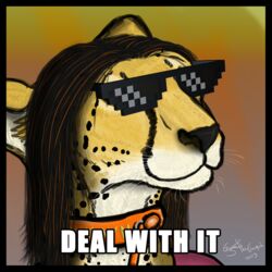 1:1 2013 black_border black_hair border cheetah collar cryme_the_cheetah deal_with_it eyewear facial_markings felid feline fur glasses gradient_background hair head_markings headshot_portrait icon khraym leash long_hair male mammal markings meme orange_hair pixel_sunglasses portrait realistic shaded simple_background smile solo spots tear_(marking) white_body white_fur yellow_body yellow_fur