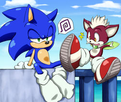 anthro armwear blue_body blue_hair canid canine chip_(sonic) clothing duo eulipotyphlan footwear gloves green_eyes hair handwear hedgehog insect_wings male mammal sega shoppaaaa socks sonic_the_hedgehog sonic_the_hedgehog_(series) sonic_unleashed white_armwear white_clothing windmill_isle wings