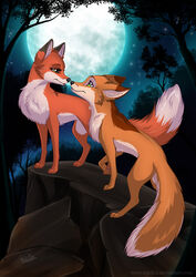 2013 abby_(rukifox) brown_body brown_fur canid canine digital_media_(artwork) duo female feral fluffy fluffy_tail fox fur green_eyes male male/female mammal moon night outside rick_(rukifox) romantic romantic_ambiance romantic_couple rukifox signature sky star starry_sky tail text url yellow_eyes