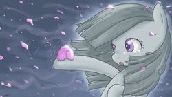 16:9 earth_pony equid equine female flower friendship_is_magic fur grey_body grey_fur grey_hair hair hasbro hi_res horse long_hair mammal marble_pie_(mlp) my_little_pony open_mouth petals plant pony purple_eyes rose_(flower) simple_background solo sparkles speccysy tongue wallpaper widescreen wind