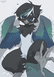  4_toes absurd_res ambiguous_gender anisodactyl anthro avian avian_feet beak bedding bedding_background bird black_hair blep blue_eyes corvid crotch_tuft feathered_wings feathers featureless_crotch feet hair handless hi_res high-angle_view highlights_(coloring) kaltespur looking_at_viewer magpie_(corvid) neck_tuft oscine passerine realistic_wings semi-anthro solo toes tongue tongue_out tuft winged_arms wings 