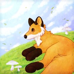  1:1 2023 ambiguous_gender animate_inanimate black_nose blue_sky brown_markings canid canine cheek_tuft cloud day detailed_background digital_drawing_(artwork) digital_media_(artwork) douglas_cuddle_toys facial_tuft feral fox full-length_portrait fungus fur grass hi_res living_plushie lore_(maligaytor) luster_(douglas_cuddle_toys) lying male_(lore) maligaytor mammal markings mushroom orange_body orange_eyes orange_fur outside paint_tool_sai_(artwork) plant plushie portrait red_fox shaded sky snout soft_shading solo tail true_fox tuft white_body white_fur 