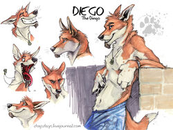 4:3 anthro blotch blue_eyes canid canine canis clothing diego_(blotch) dingo facial_hair goatee hei-matau male mammal model_sheet simple_background solo text the_dog&#039;s_days_of_summer url white_background