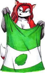 anthro breasts canid canine cleavage clothed clothing drake_fenwick female fox hair low_res mammal red_hair solo superhero supermegatopia the_tease towel