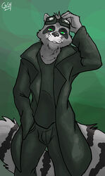 anthro biped cameronwolfe clothing coat eyewear fluffy fluffy_tail fur gaze goggles green_eyes grey_body grey_fur looking_at_viewer lukas male mammal procyonid raccoon smile smirk solo standing tail topwear trenchcoat