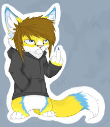 anthro blue_body blue_fur brown_hair canid canine chibi claws clothing digital_media_(artwork) domestic_cat facial_piercing felid feline felis female fluffy fox frown fur gesture grumpy hair hand_gesture hand_in_pocket hoodie hybrid lexii_(artist) lexii_(lexii) lip_piercing mammal middle_finger orange_body orange_fur piercing pockets simple_background snakebite_piercing solo topwear