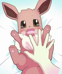  2020 5:6 5_fingers ambiguous_gender blush brown_body brown_eyes brown_fur duo eevee feral fingers first_person_view fur generation_1_pokemon hi_res human legs_up looking_at_viewer lying mammal nintendo on_back open_mouth pawpads pink_pawpads pokemon pokemon_(species) solo_focus wadorigi 