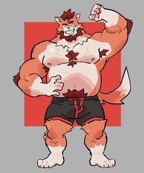  anthro armpit_hair beard body_hair boxers_(clothing) brown_body brown_fur brown_hair clothed clothing domestic_cat facial_hair felid feline felis fur hair hi_res male mammal muscular orange_body orange_fur pawpads smile soildweller solo underwear underwear_only white_body white_fur 