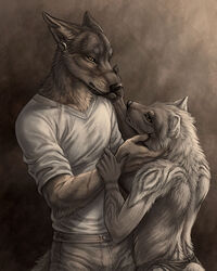 2014 4:5 anthro arctic_fox canid canine canis claws coyote duo ear_piercing fox fur love male mammal paws piercing puquanah ransom romantic romantic_couple rukis scar size_difference story story_in_description true_fox wolf wounded