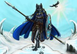 anthro armor avian bird blue_sky bracers canid canine canis cape chainmail chains clasp cloak clothing corvid corvus_(genus) danogambler duo elis fantasy female footprint fur gem girdle grey_body grey_fur grey_hair hair headgear helmet icicle light long_hair looking_at_viewer mammal medieval melee_weapon metal_shield oscine passerine polearm raven round_shield shield sky snow snowscape solo_focus spear sun sunlight valkyrie viking warrior weapon winter wolf