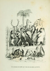 1842 19th_century ambiguous_gender amphibian ancient_art anthro arthropod avian bear bird butterfly canid canine canis clothing common_hippopotamus crane_(bird) crustacean decapoda domestic_cat domestic_dog elephant elephantid felid feline felis female feral fly_(animal) french_text frog giraffe giraffid group gruiform haplorhine hat headgear headwear hippopotamid insects jean-jacques_grandville kippah lagomorph lepidopteran leporid lizard lobster malacostracan male mammal marine monkey monochrome mosquito outside palm_tree plant primate proboscidean rabbit religious_clothing religious_headwear reptile scalie scenes_de_la_vie_privee_et_publique_des_animaux sepia snake standing text toad_(frog) top_hat translated tree trunk turtle tusks