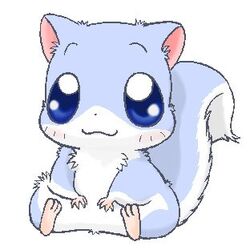 1:1 :3 blue_body blue_eyes blue_fur blush digital_media_(artwork) feral fluffy fluffy_tail flying_squirrel fur happy_happy_clover hickory_(happy_happy_clover) hirari_(happy_happy_clover) japanese kuridora low_res male mammal pixiv rodent sayuri_tatsuyama sciurid simple_background sitting smile solo tail tree_squirrel white_background white_body white_fur