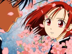  1boy arima_souichirou cherry_blossoms female kareshi_kanojo_no_jijou miyazawa_yukino red_eyes red_hair short_hair vector_trace 