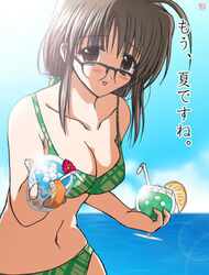  artist_request bikini brown_eyes brown_hair comic_party day female glasses green_bikini lowres makimura_minami solo swimsuit 