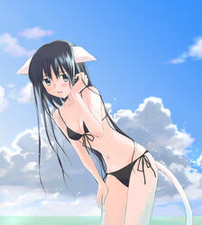  animal_ears bikini black_bikini black_hair blue_eyes blush cat_ears cloud copyright_request day female kazuto_izumi outdoors solo swimsuit tail wet 