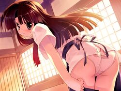  animal_print ass back-print_panties brown_hair clothes_writing colorful_aquarium female from_behind game_cg kanbayashi_miu kiba_satoshi leaning_forward long_hair looking_back panties print_panties rabbit_panties rabbit_print solo thigh_gap underwear undressing white_panties 