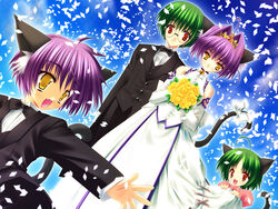  2boys 2girls ahoge animal_ears aoi_yuuji bouquet bride cat_ears cat_tail confetti dress dutch_angle family flower formal game_cg glasses green_hair hironao_(puni_puni_handmaid) kurohime_(puni_puni_handmaid) long_sleeves multiple_boys multiple_girls oerba_yun_fang puni_puni_handmaid purple_hair red_eyes spoilers suit tail tiara wedding wedding_dress yellow_eyes 