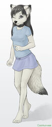  2008 adolescent anthro biped black_hair black_nose blue_clothing blue_shirt blue_topwear bottomwear breasts button_skirt canid canine claws clothed clothing collar coonkun eye_scar facial_scar female fluffy fluffy_tail fox fur grey_eyes hair long_hair looking_at_viewer mammal one_eye_closed scar shirt simple_background skirt smile solo standing tail topwear vixenchan walking white_background white_body white_fur young young_anthro young_female 