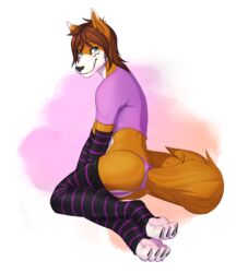  4_toes anthro blue_eyes brown_hair canid canine claws clothed clothing feet femboy fox hair hi_res legwear luvini male mammal pink_clothing pink_topwear pink_underwear reddyrennard smile solo stockings thigh_highs thong toe_claws toes topwear underwear 