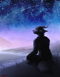  2015 anthro canid canine clothed clothing conditional_dnp digital_media_(artwork) fur grass hair highland_psycrhen horn hybrid legacy_(ratte) male mammal night outside plant psycrhen ratte red_eyes river sad shooting_star sky solo star starry_sky yukikiba 