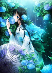  bad_id bad_pixiv_id black_hair blue_eyes commentary_request drugstore04 female flower hydrangea japanese_clothes kimono long_hair original photoshop_(medium) rain solo umbrella wet 