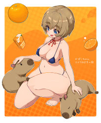  absurdres armpits barefoot bikini blue_bikini blush breasts brown_hair capybara cleavage eyebrows_hidden_by_hair female food from_side fruit full_body hair_between_eyes highres indie_virtual_youtuber juice_box jumpsuit kapiko_vtuber large_breasts looking_at_animal mefuchan micro_bikini navel open_mouth orange_(fruit) orange_jumpsuit petting polka_dot polka_dot_background short_hair sideboob sleeping smile solo squatting stomach swimsuit thick_eyebrows toes virtual_youtuber 