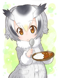  blonde_hair brown_eyes coat colored_pencil_(medium) commentary_request curry curry_rice female food frown fur_collar fur_trim grey_coat hakkatou head_wings holding holding_spoon kemono_friends long_sleeves multicolored_hair northern_white-faced_owl_(kemono_friends) plate rice solo spoon traditional_media white_hair wings 