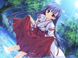  blue_hair day dutch_angle female game_cg hakama hakama_skirt hoshizora_e_kakaru_hashi japanese_clothes koumoto_madoka light_rays long_hair miko outdoors purple_eyes red_hakama ryouka_(suzuya) skirt skirt_hold solo sunbeam sunlight tree wading water 