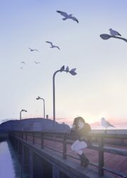  absurdres ahoge artist_name bad_id bad_pixiv_id bird black_hair black_skirt black_socks blue_eyes blue_sky bridge cardigan commentary enoshima evening female fuyuno_kamome highres jacket kneehighs lamppost legs_together light_rays loafers looking_at_another ocean on_railing original outdoors parted_lips pleated_skirt railing scenery school_uniform seagull shoes short_hair signature sitting skirt sky sleeves_past_wrists socks solo sunbeam sunlight sunset teeth thighs wind 