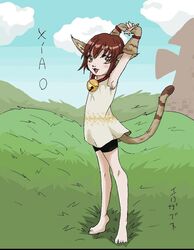  animal_ears bell cat_ears cat_girl cat_tail catgirl dark_cloud grass level-5 short_hair tail xiao 