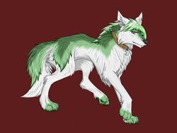  2015 4:3 absurd_res canid canine canis collar digital_media_(artwork) female feral fur green_body green_fur green_hair hair hi_res highlights_(coloring) mammal moon multicolored_body multicolored_fur multicolored_hair paws piercing red_background shiarah shiarah_(character) simple_background solo two_tone_body two_tone_fur two_tone_hair white_body white_fur white_hair wolf 